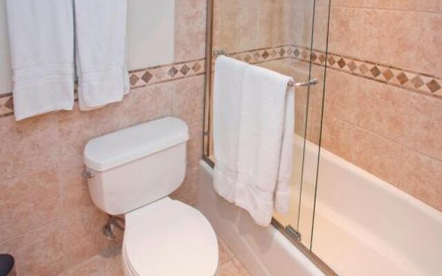 Lodge at Vail Dog Friendly C139