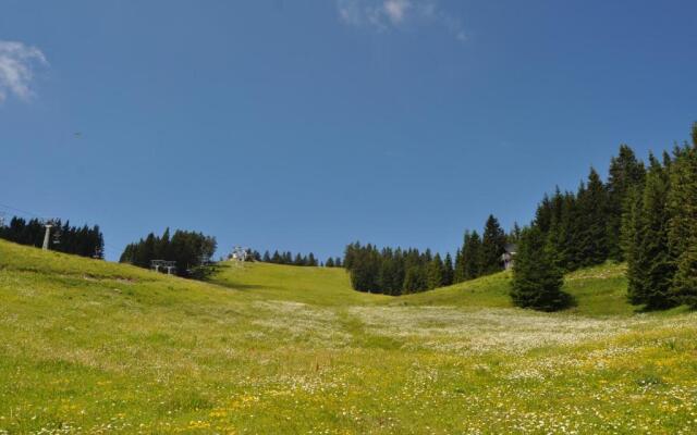 Apartment MOUNTAIN PARADISE Golte