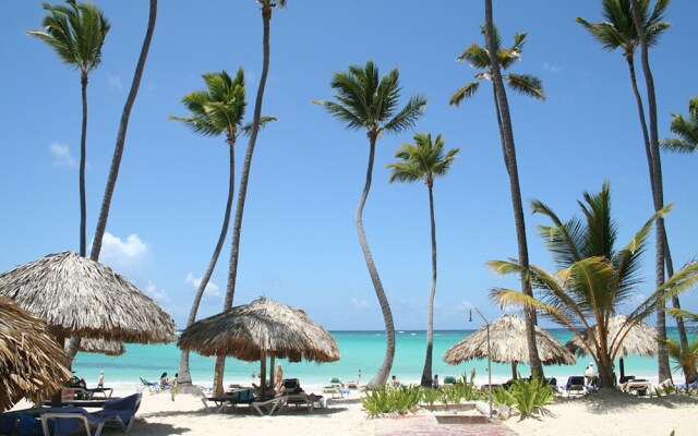 TrueCost Caribbean Paradise