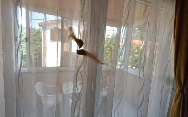 Apartment Aria Lux
