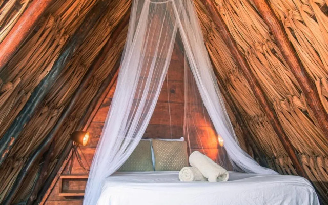 Mapache Hostel & Camping