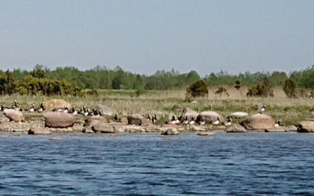 Toomalõuka Tourist Farm