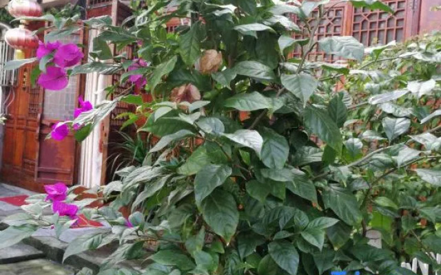 Zhengjia Hostel
