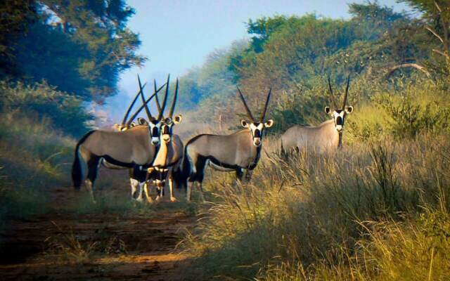 Rocky Hollow Guest Farm