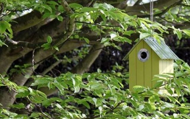 Redlands Country Lodge Guest House