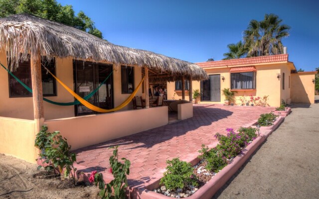 Bungalows Cabo Pulmo