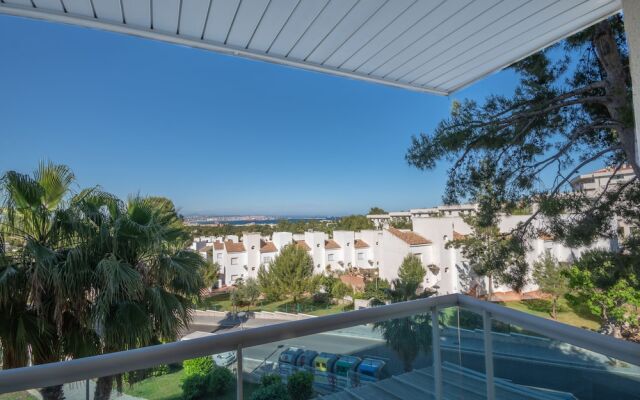 Gocosta Siesta Dorada Family 1