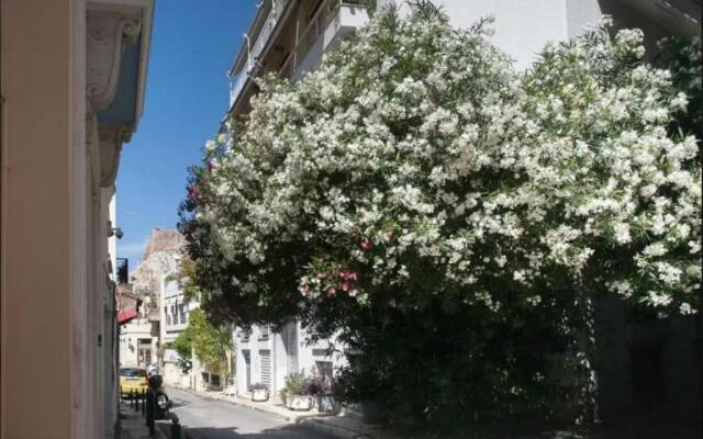 Nephiria, Back to Tradition, In the heart of Plaka
