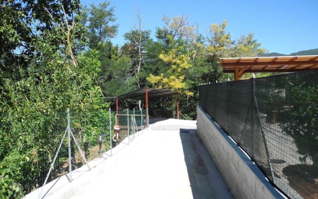 Spacious Holiday Home in Lucca With Swimming Pool