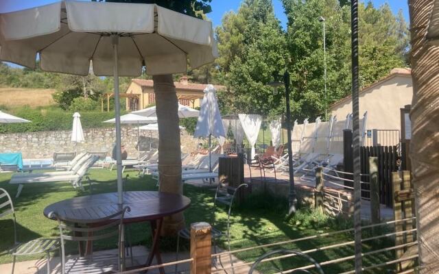 Gatto Bianco Tizzauli