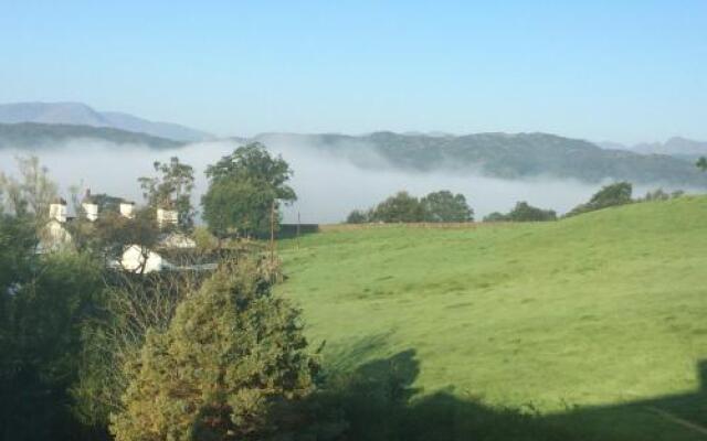 Willowbank