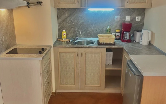 SH Holidays & Health ltd.