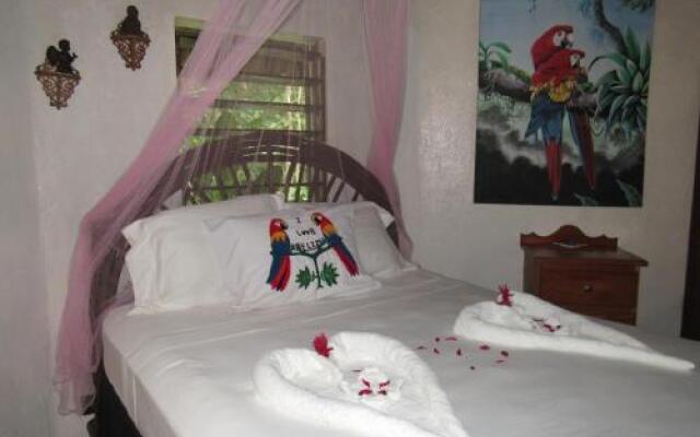 Macaw Bank Jungle Lodge