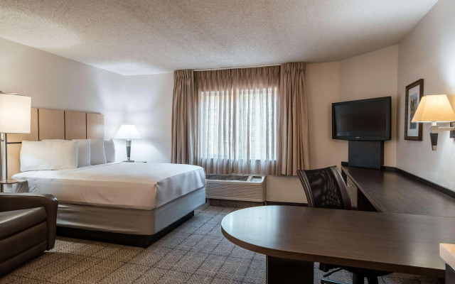 Sonesta Simply Suites Dallas Richardson