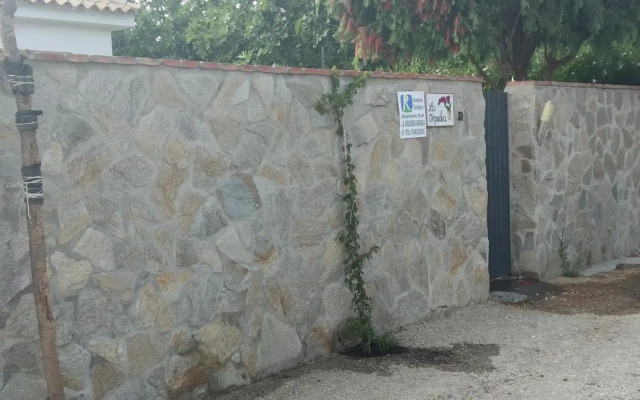 La Orquídea Morada