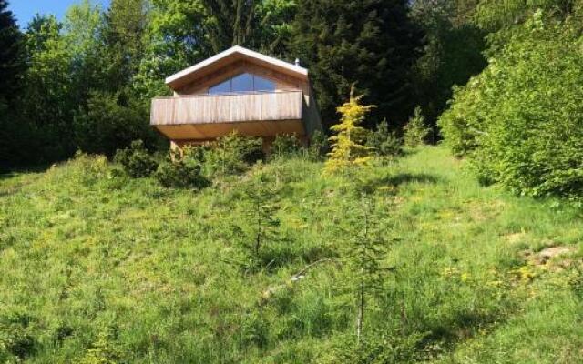 Chalet Contemporain