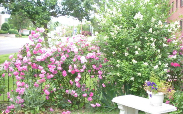 Belle Hearth Bed and Breakfast