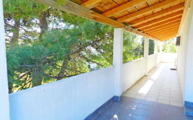 Apartments Branko