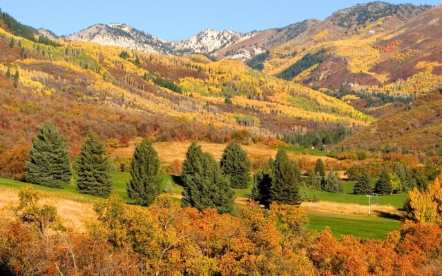 Heber Senator Bed and Breakfast