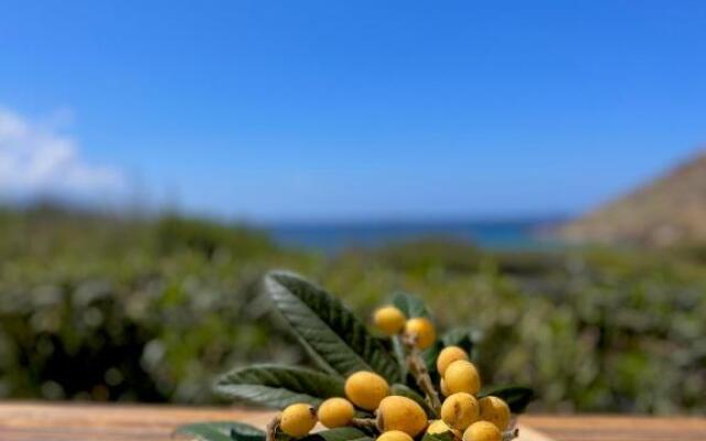 Seaside Studios