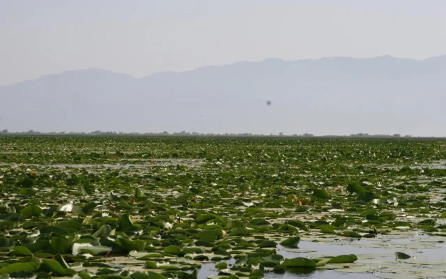 Guesthouse Skadar Lake