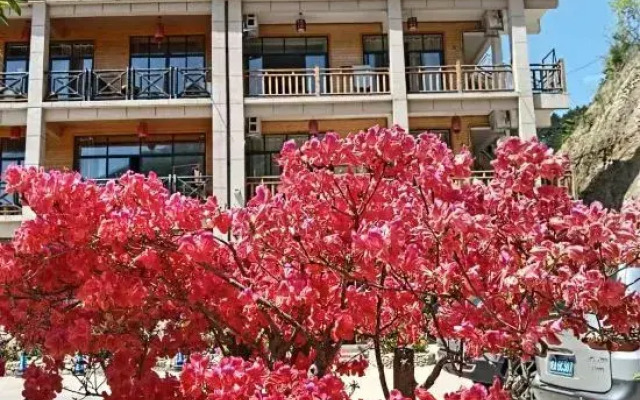 Huoshan View Tea House