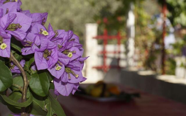 Senka1 - pure nature & serenity - H(2+1)