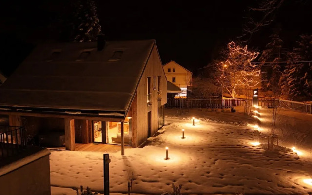 Villa in Cerny Dul With Pool & Sauna