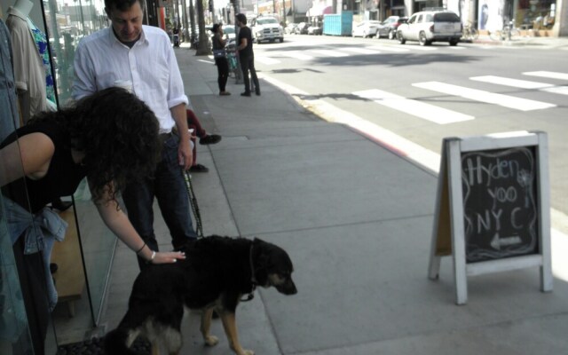 Abbot Kinney Apartment