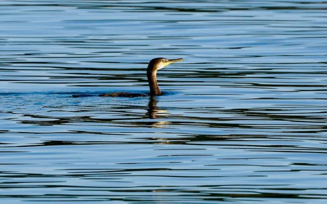 Sonnenhof Damnatz -Hotel garni-