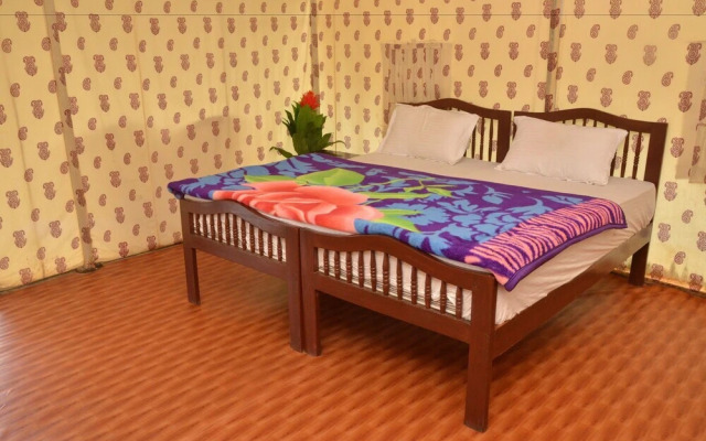 The Tiger Hill Sariska