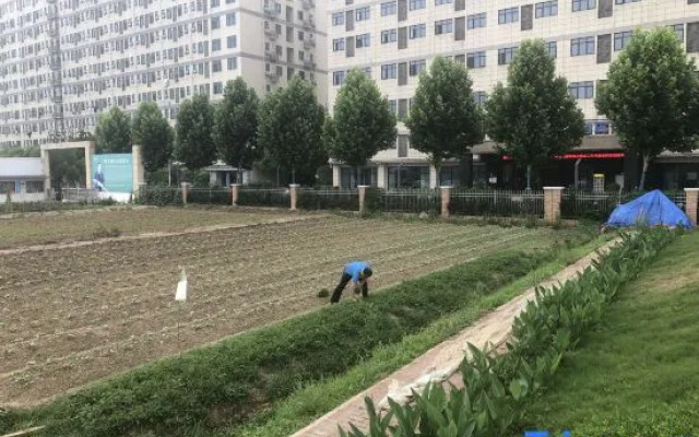 Wuhan Jointown White Swan Eco Hotel