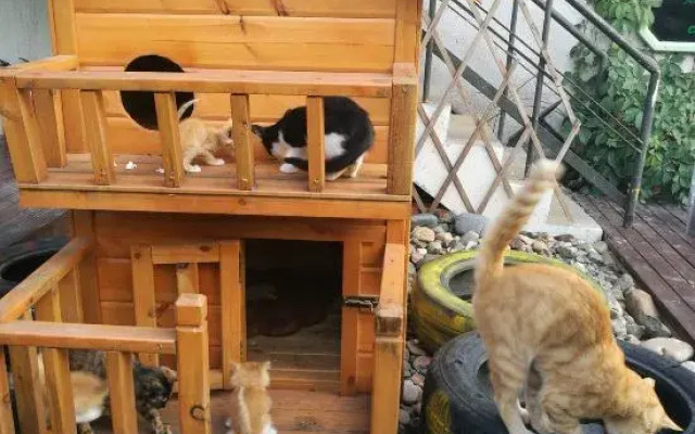 Anxi International Youth Hotel