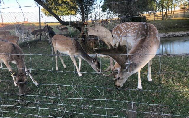 Seeblick Apartments Mühlau