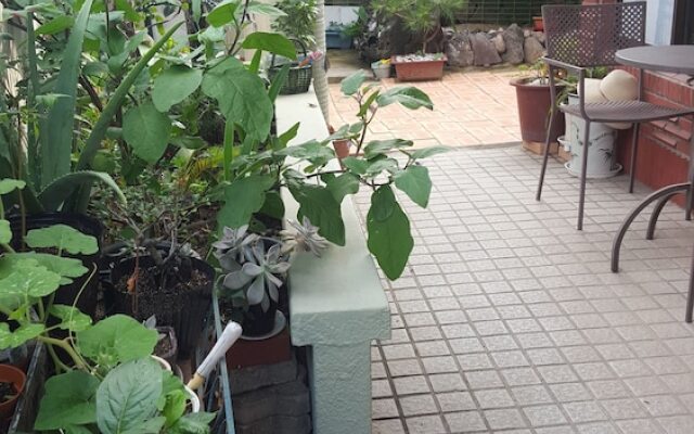 Wellbeing Guesthouse