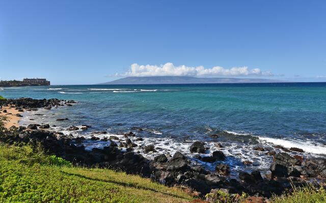 Polynesian Shores 113