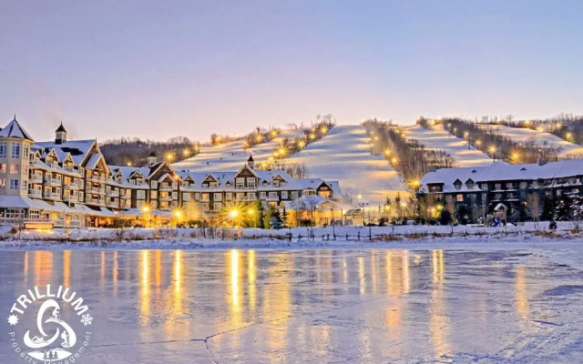 Cozy Studio Loft with 2 Bath