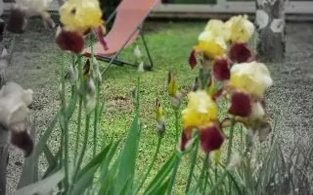 Kyriad Angouleme Nord - Champniers