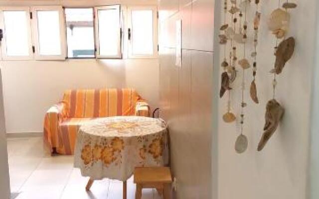 Home & Flower 3