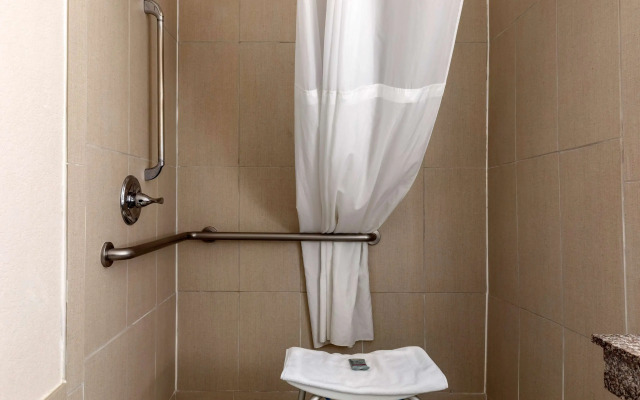 Best Western Palo Duro Canyon Inn & Suites