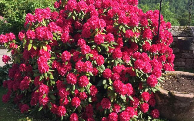 Remote Holiday Home in Harreberg With Terrace