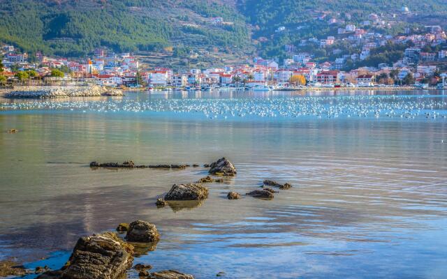 Sea View Villa Danica