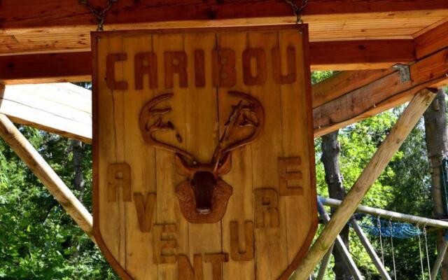 Caribou Aventures