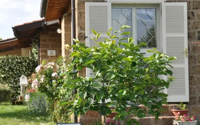 B&B Menica Marta Country House