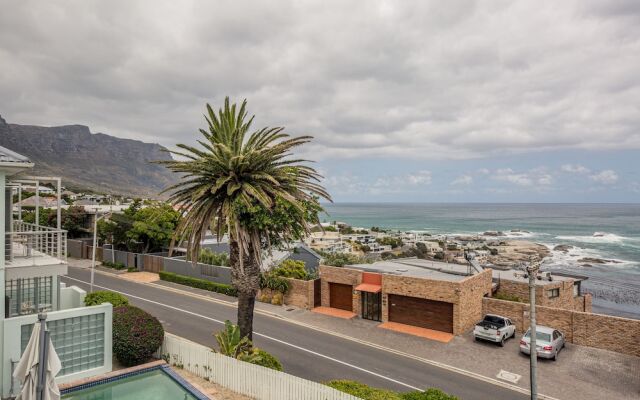 Indigo Bay - The Penguin