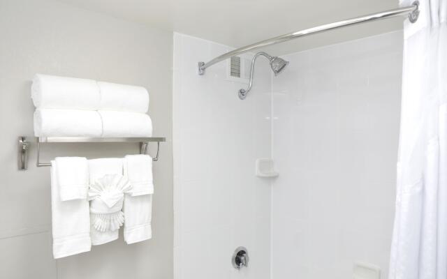 Holiday Inn Chicago O'Hare Area by IHG