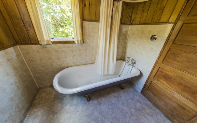 Dawson Falls Mountain Lodge