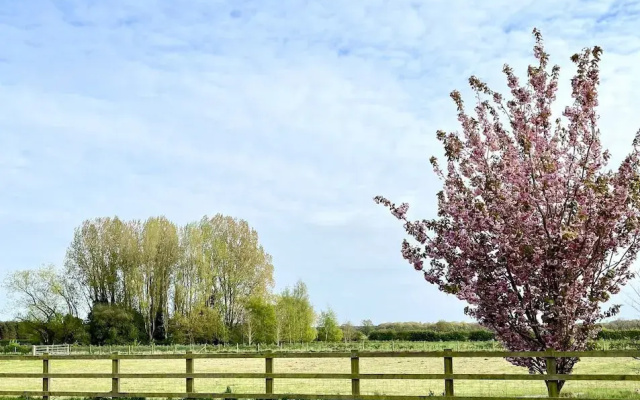 Orchard Hideaway York