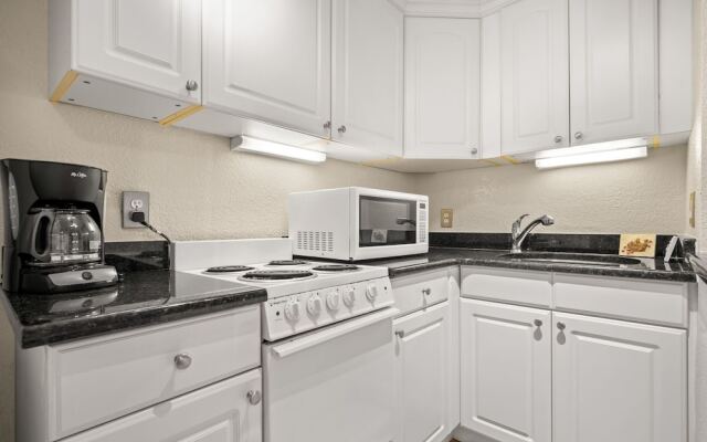 The Palms of Madeira