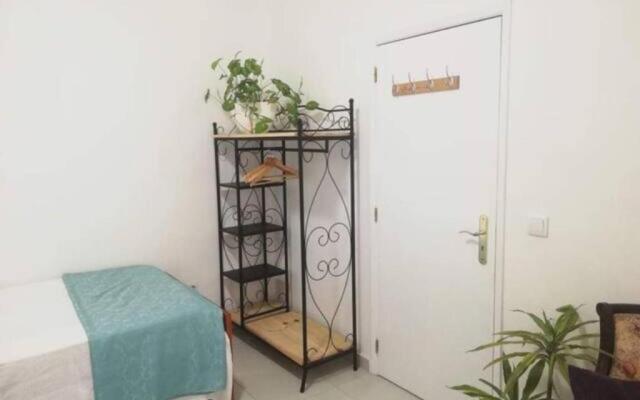 Home & Flower 3